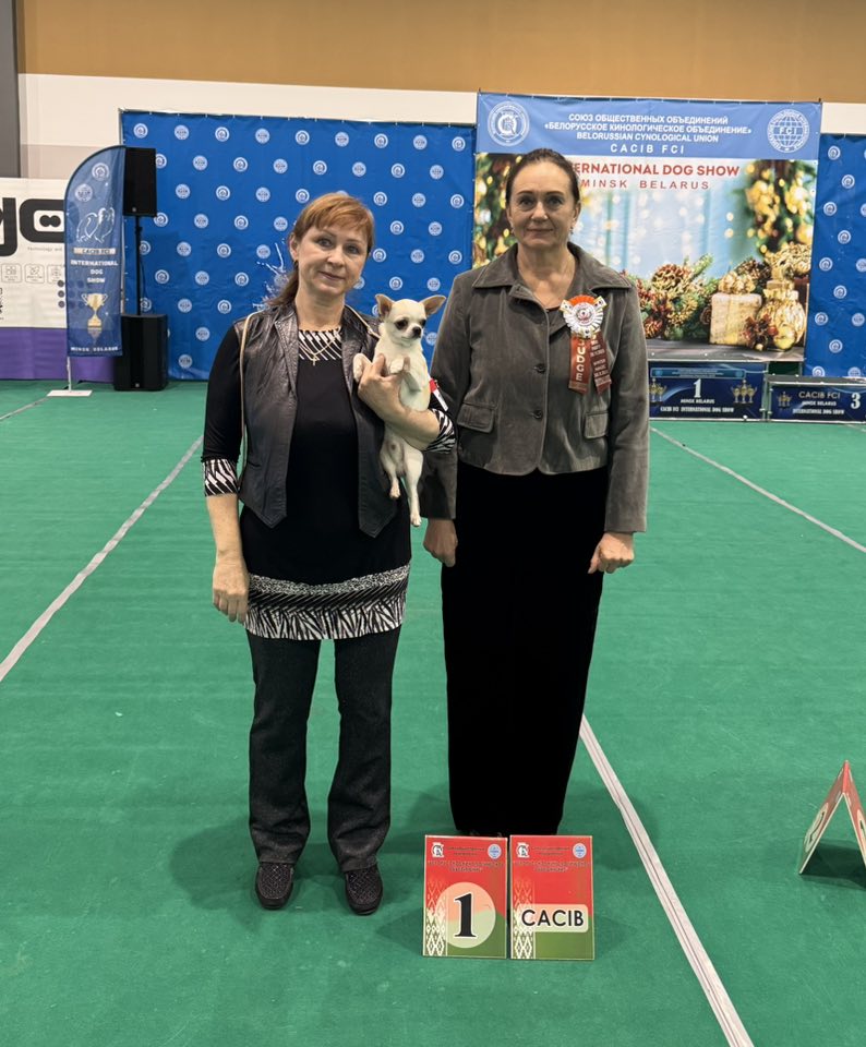 awards at the exhibition, first champion for the first time in the adult category